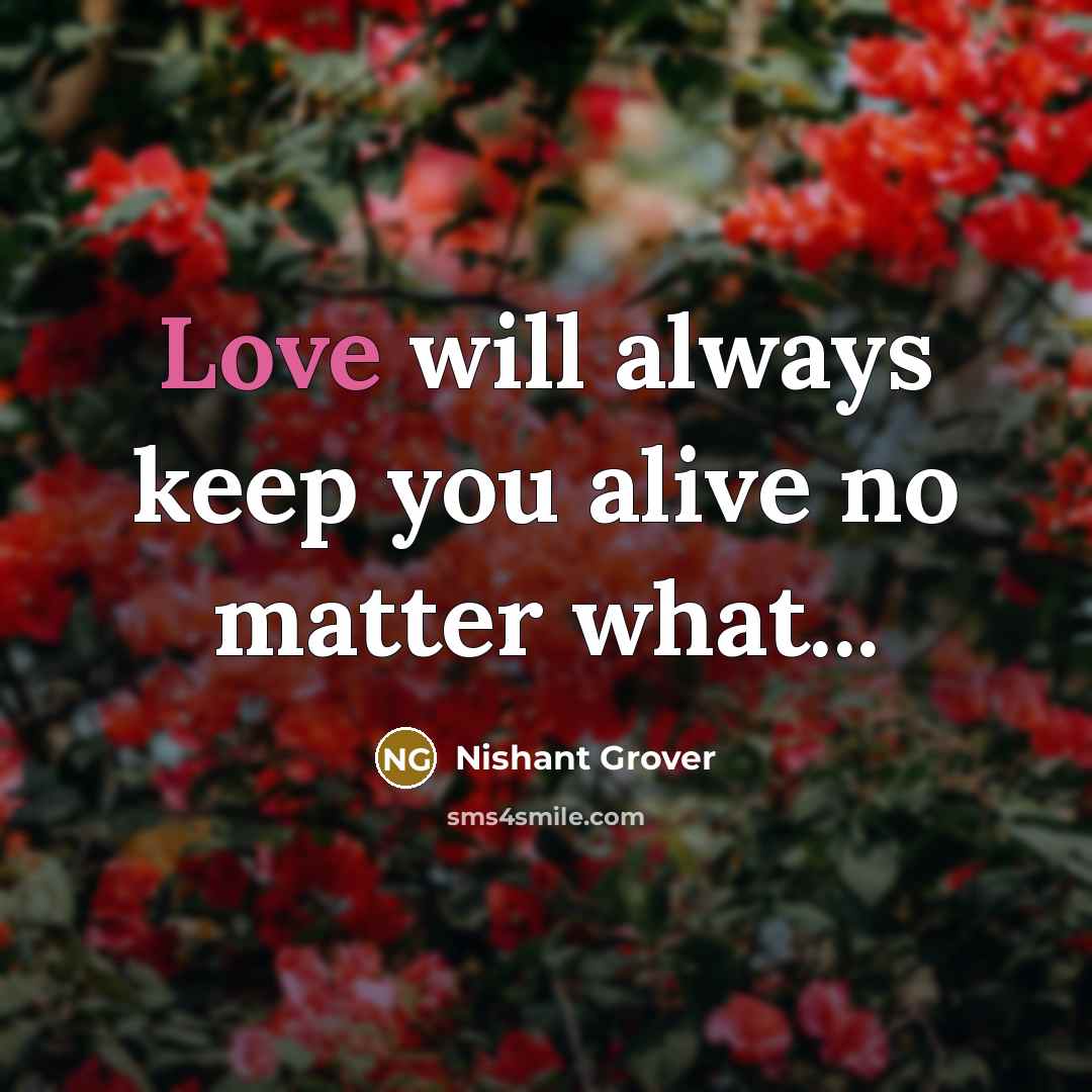 “Love will always keep you alive no matter what...” quote by Nishant Grover