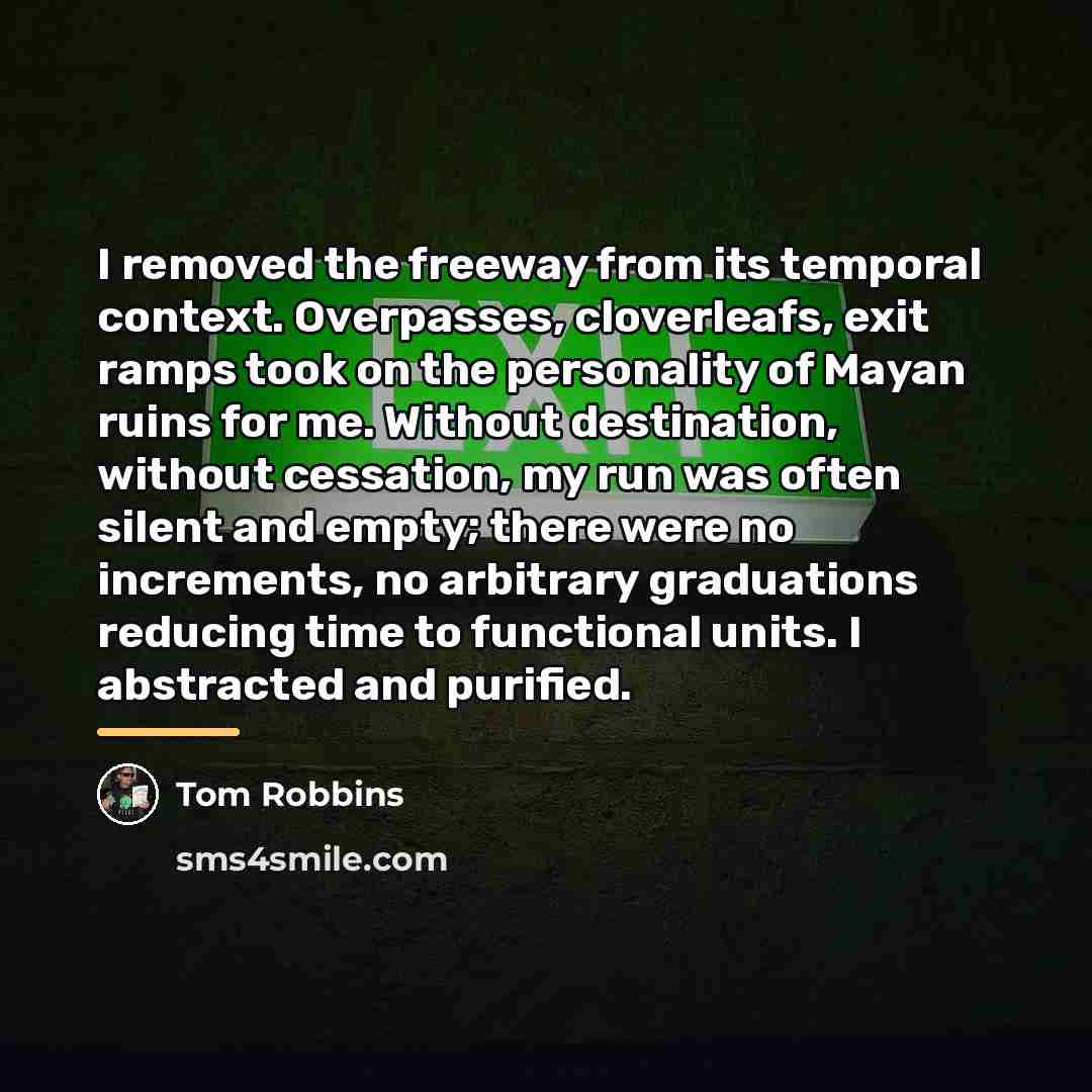 “I removed the freeway from its temporal context. Overpasses, cloverleafs,…” quote by Tom Robbins