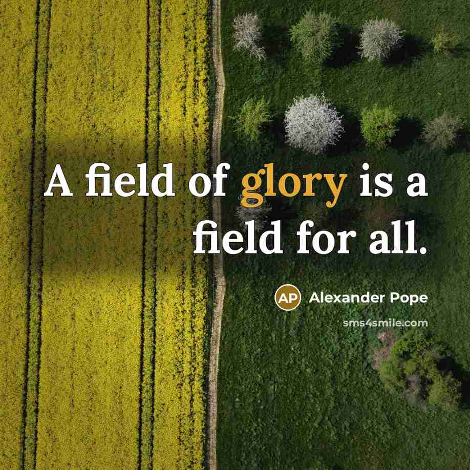 “A field of glory is a field for all.…” quote by Alexander Pope
