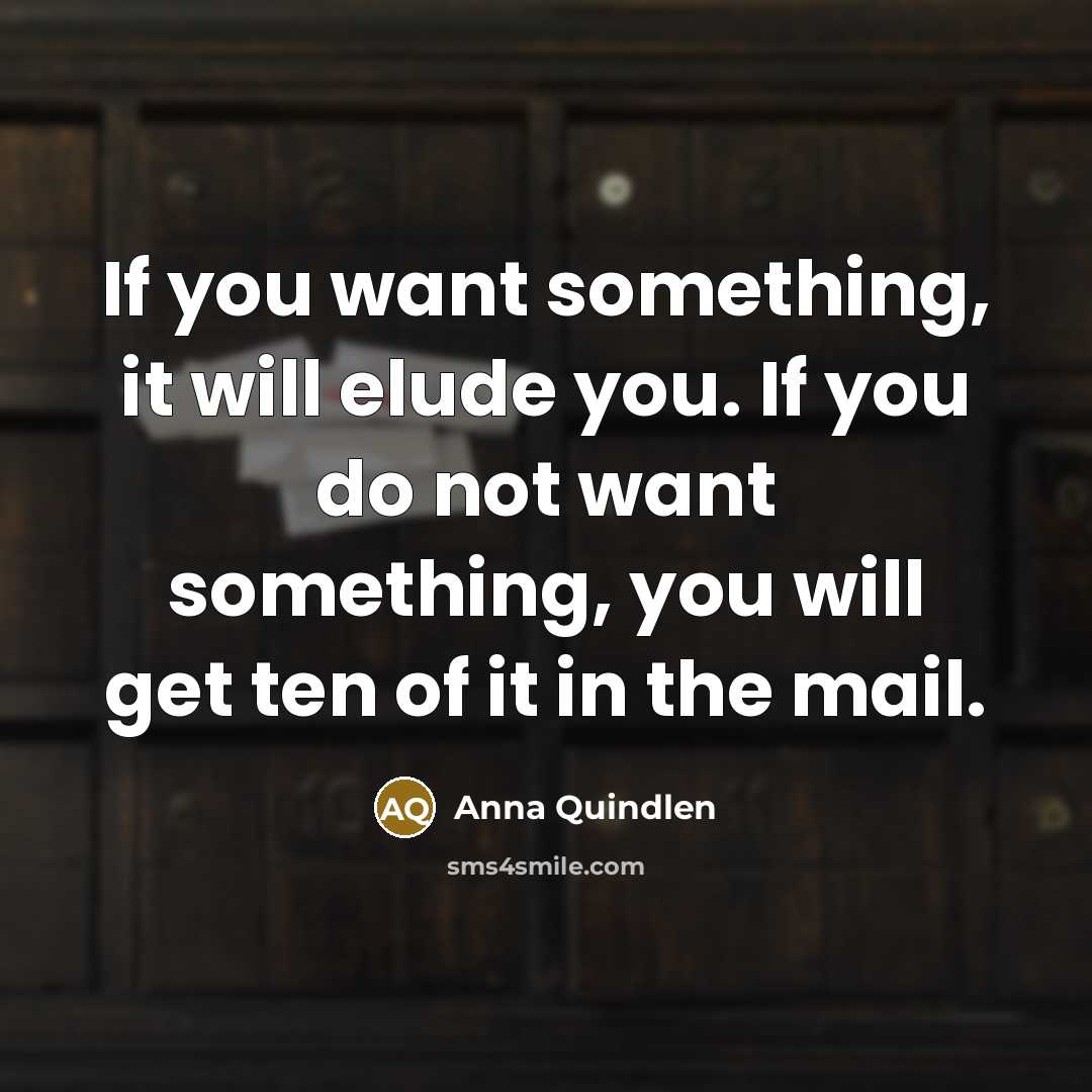 “If you want something, it will elude you. If you…” quote by Anna Quindlen