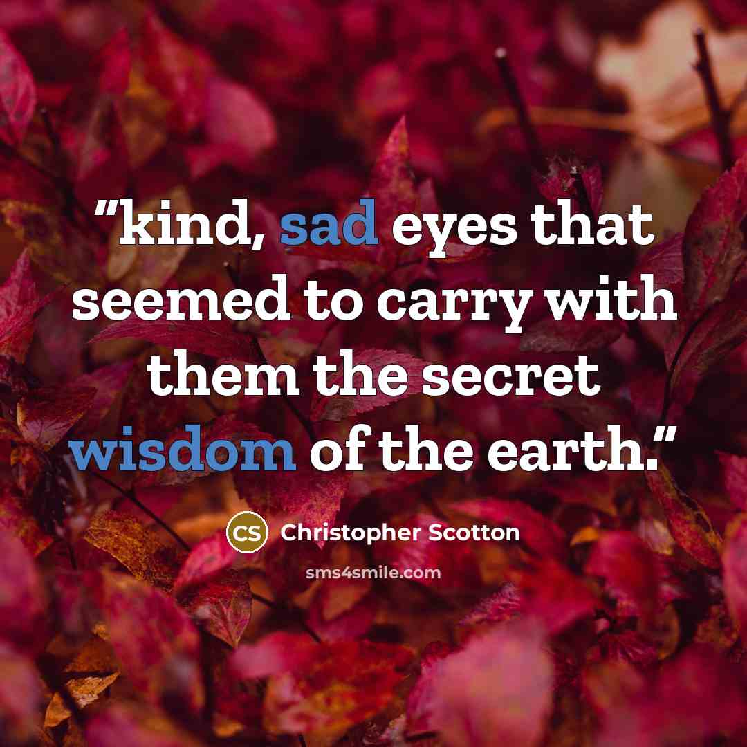 “kind, sad eyes that seemed to carry with them the secret wisdom of the earth.” quote by Christopher Scotton