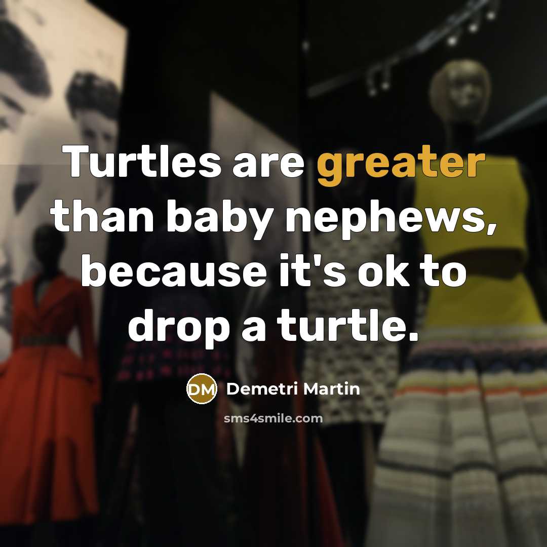 “Turtles are greater than baby nephews, because it's ok to…” quote by Demetri Martin