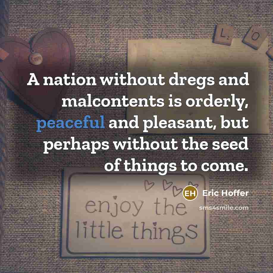 “A nation without dregs and malcontents is orderly, peaceful and…” quote by Eric Hoffer