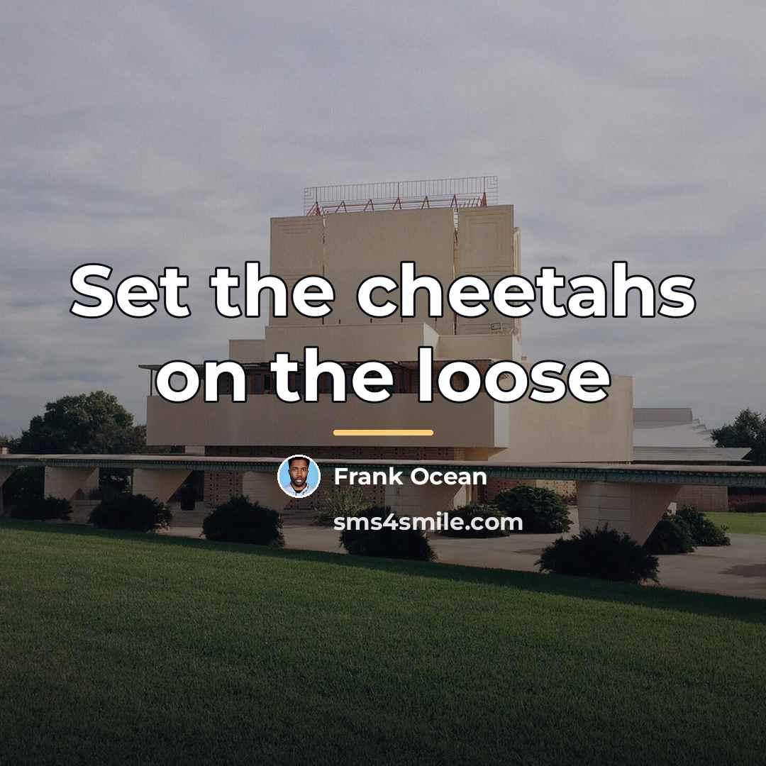 “Set the cheetahs on the loose…” quote by Frank Ocean