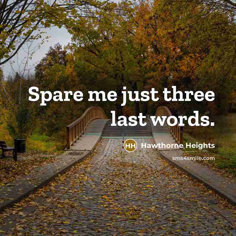 “Spare me just three last words.…” quote by Hawthorne Heights