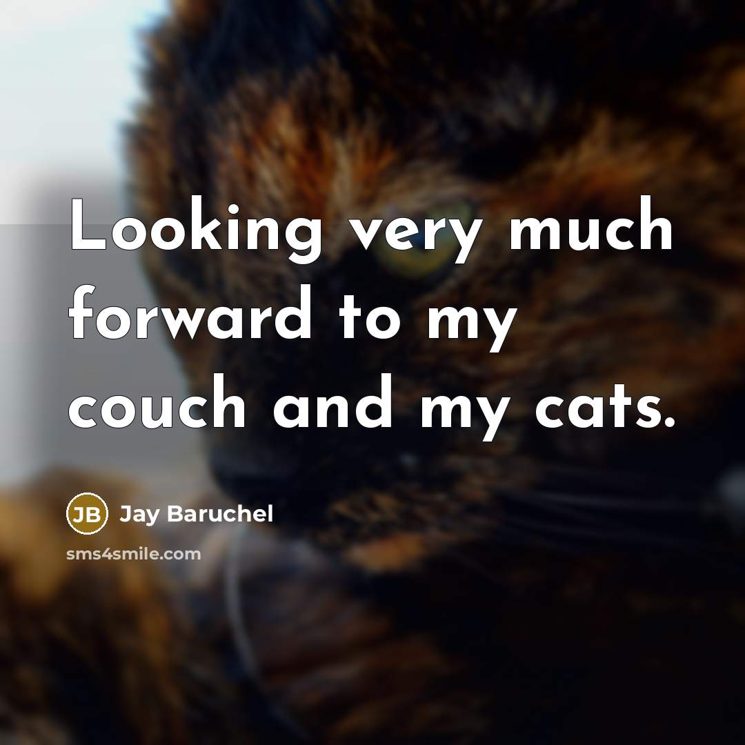 “Looking very much forward to my couch and my cats.…” quote by Jay Baruchel
