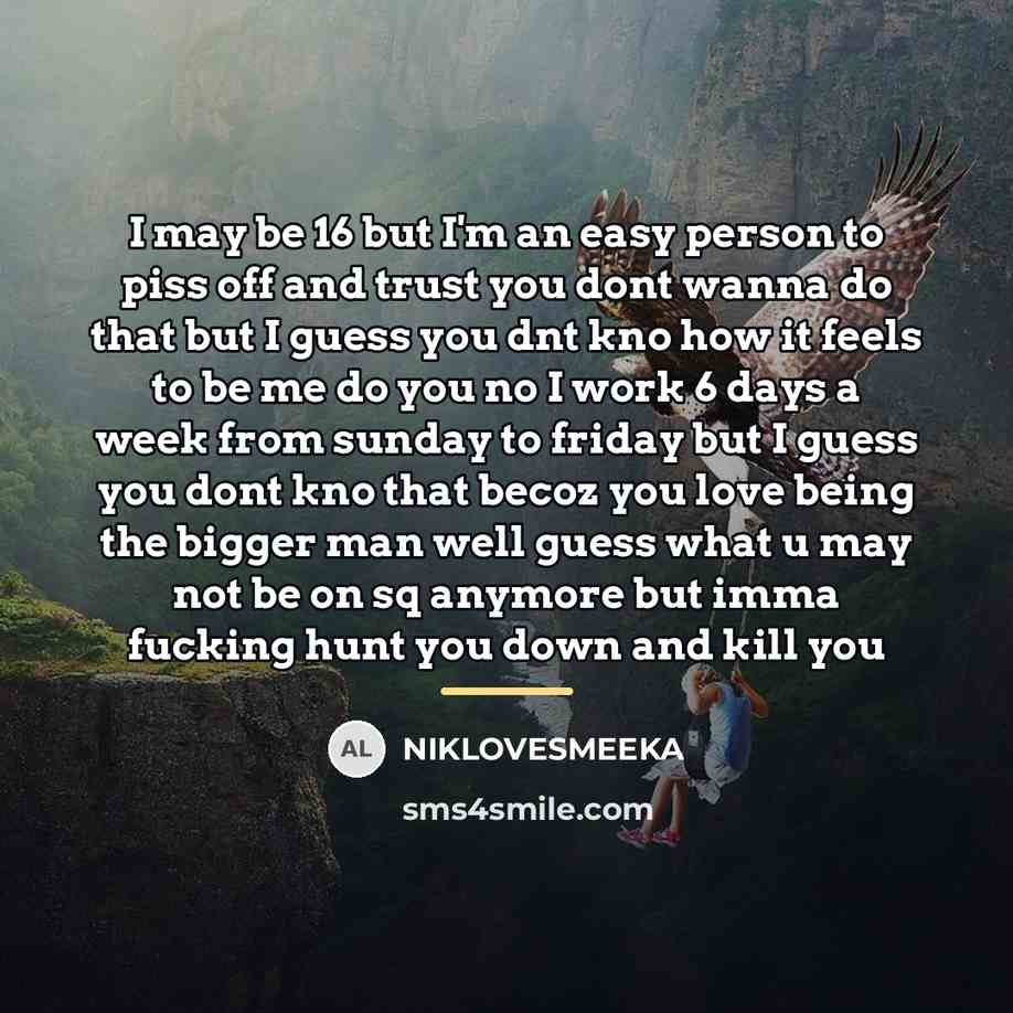 “I may be 16 but I'm an easy person to…” quote by NIKLOVESMEEKA