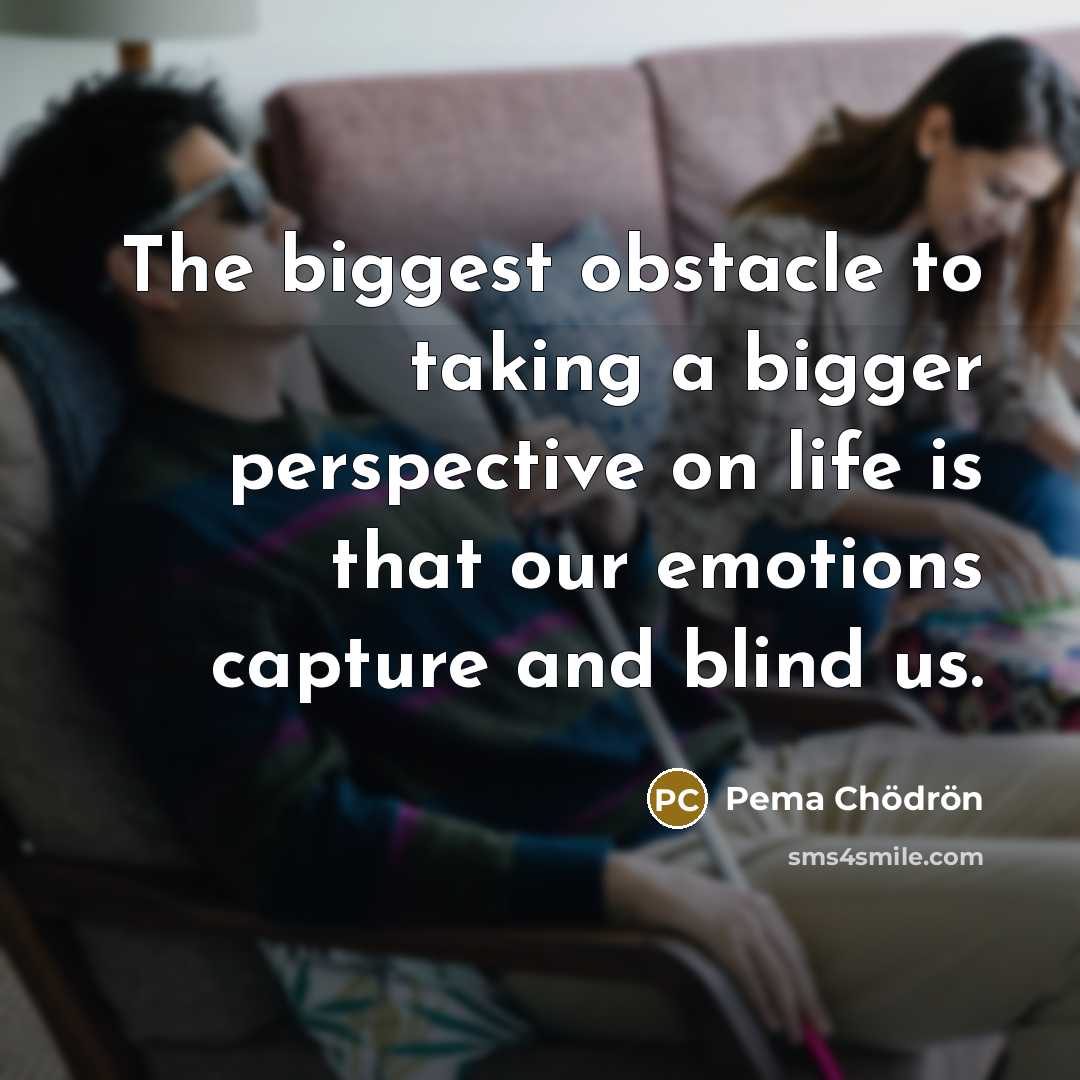 “The biggest obstacle to taking a bigger perspective on life…” quote by Pema Chodron