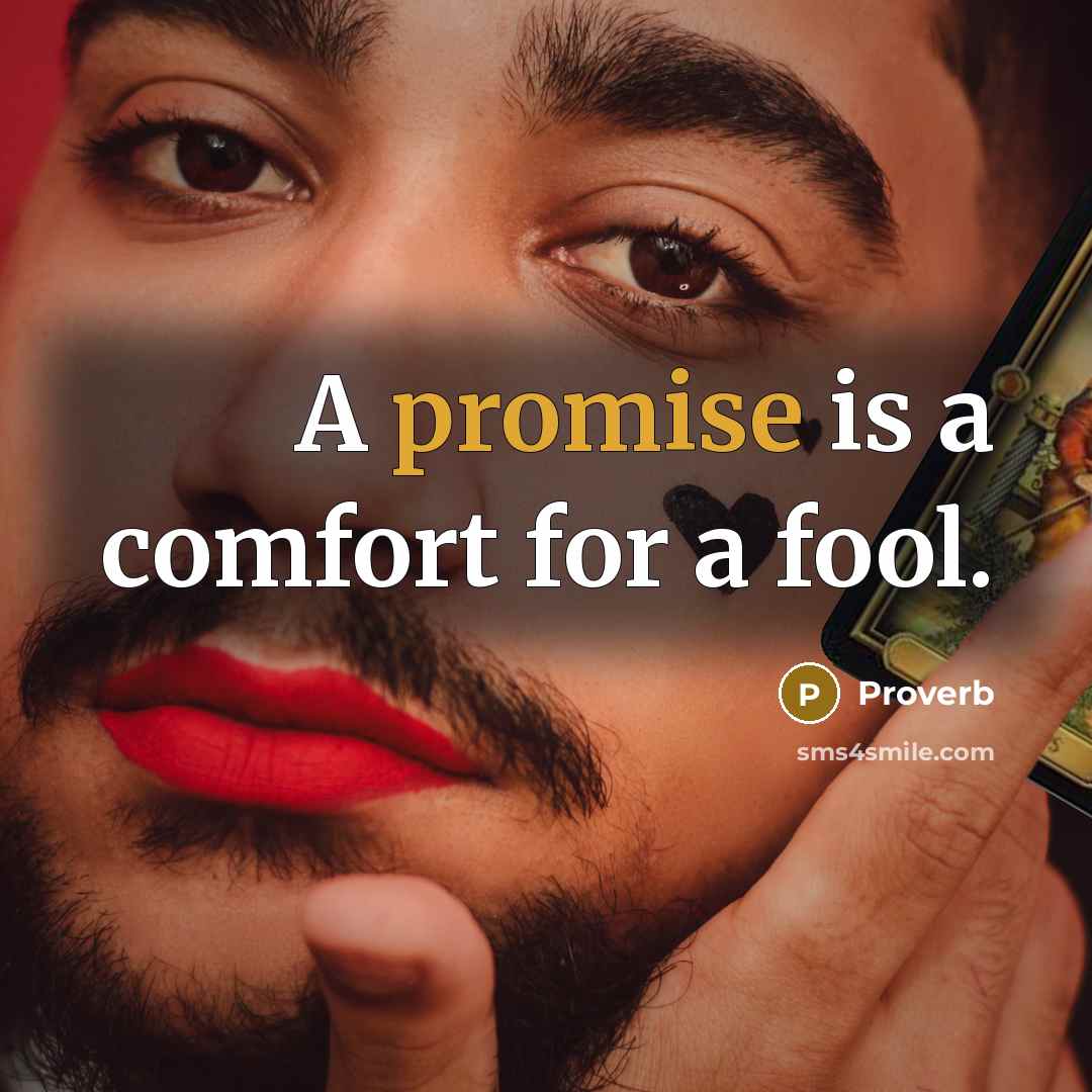 “A promise is a comfort for a fool.…” quote by Proverb