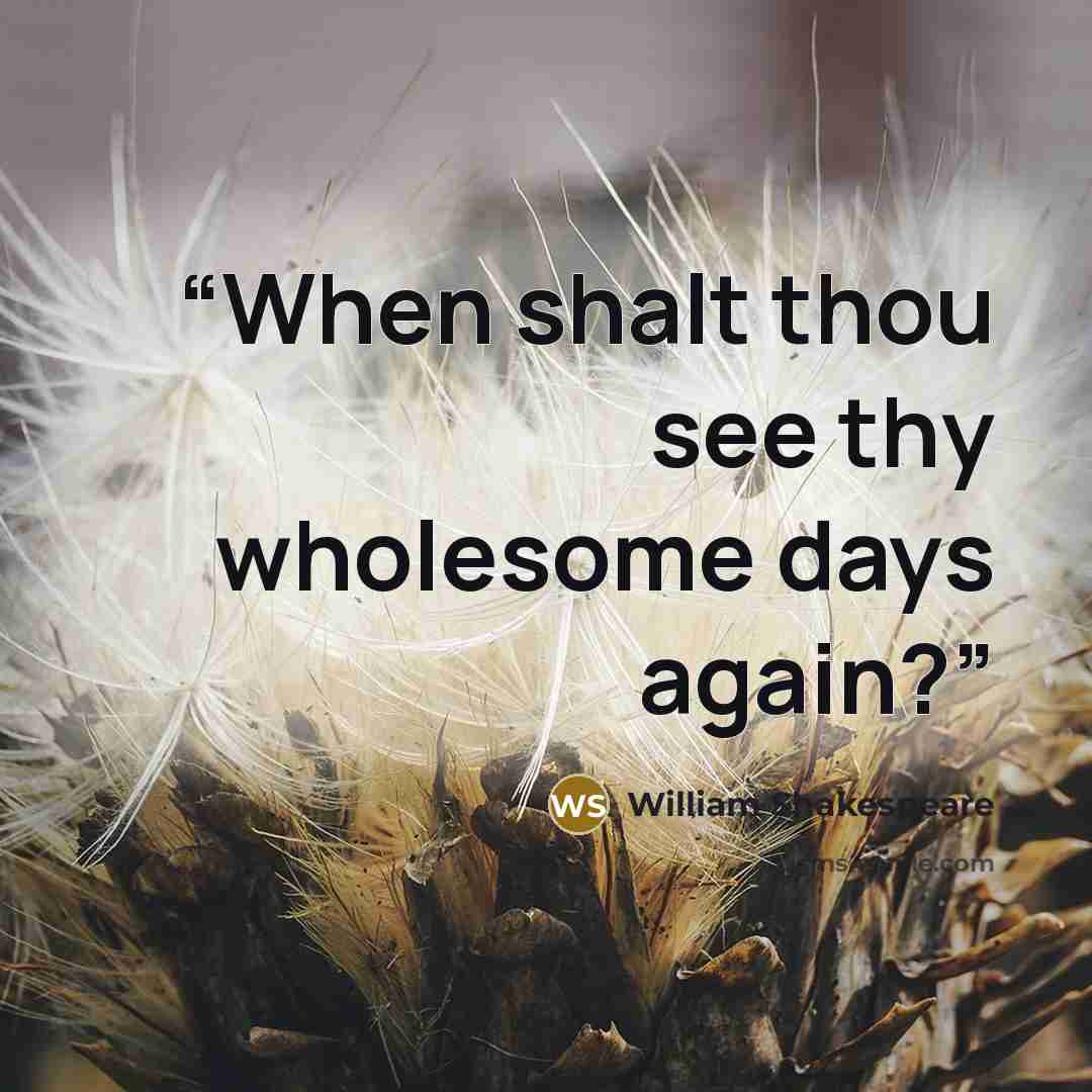 “When shalt thou see thy wholesome days again?” quote by William Shakespeare
