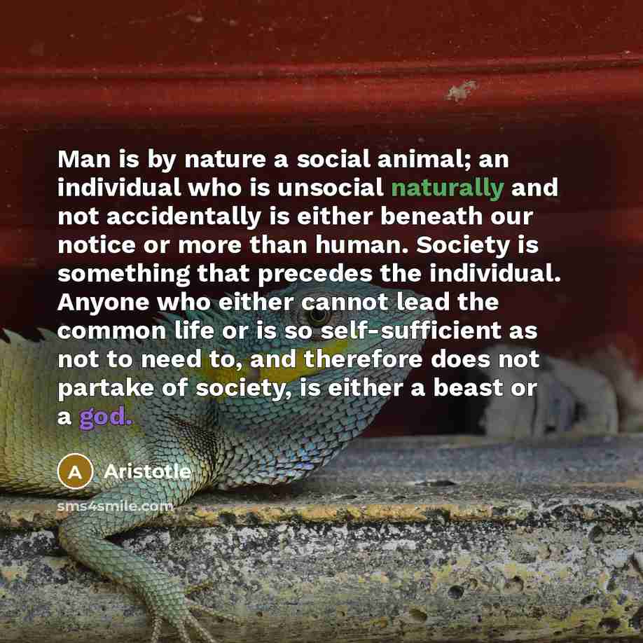 “Man is by nature a social animal; an individual who…” quote by Aristotle