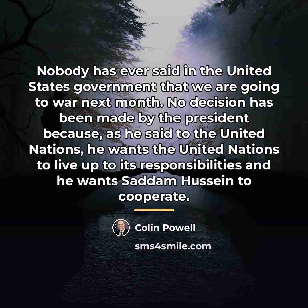 “Nobody has ever said in the United States government that…” quote by Colin Powell