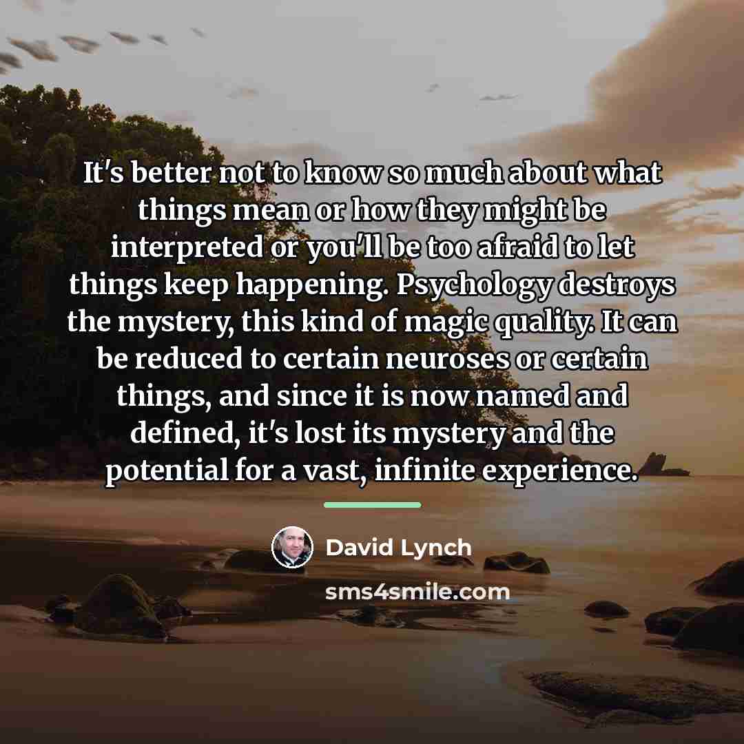 “It's better not to know so much about what things…” quote by David Lynch