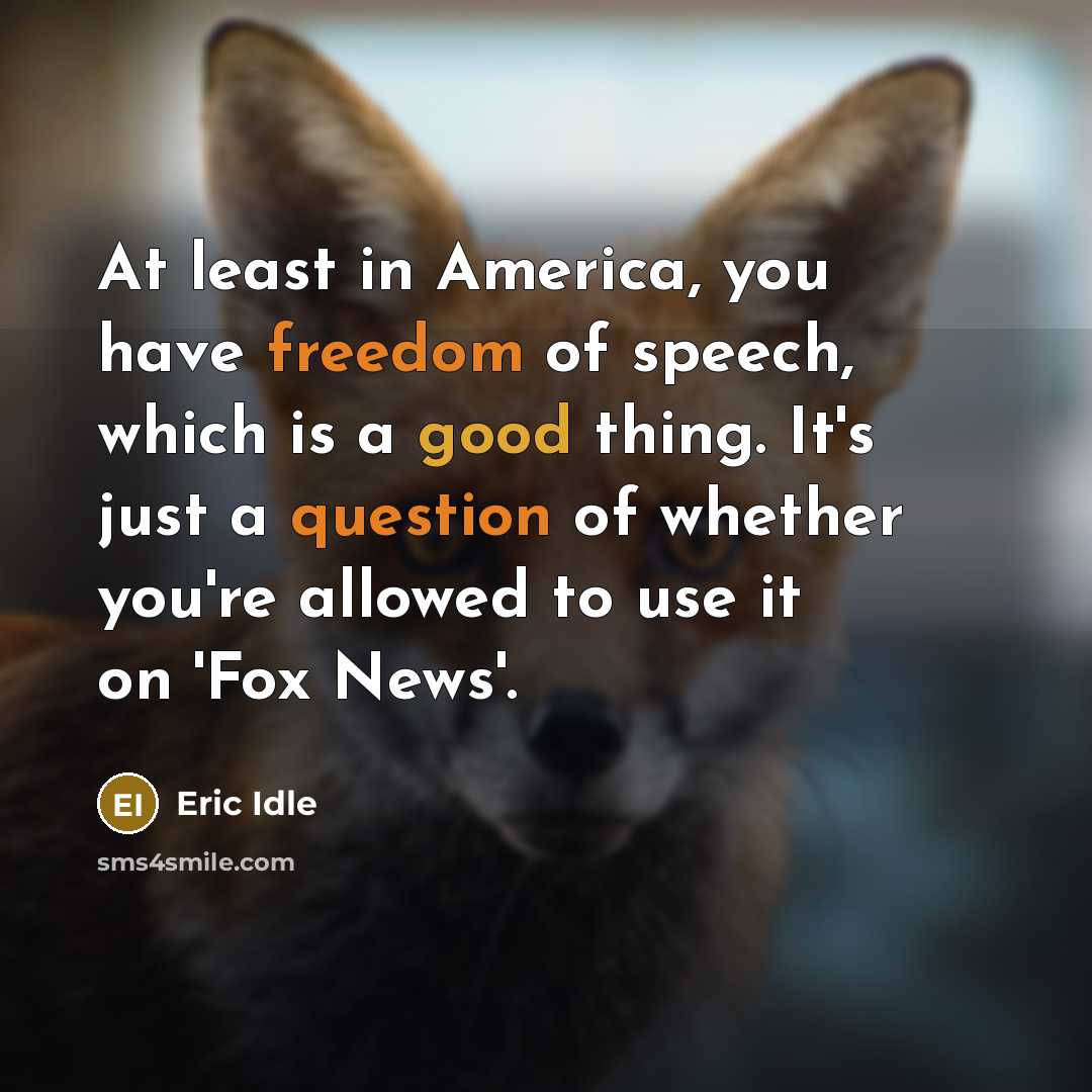 “At least in America, you have freedom of speech, which is a good thing. It's just a question of whether you're allowed to use it on 'Fox News'.” quote by Eric Idle