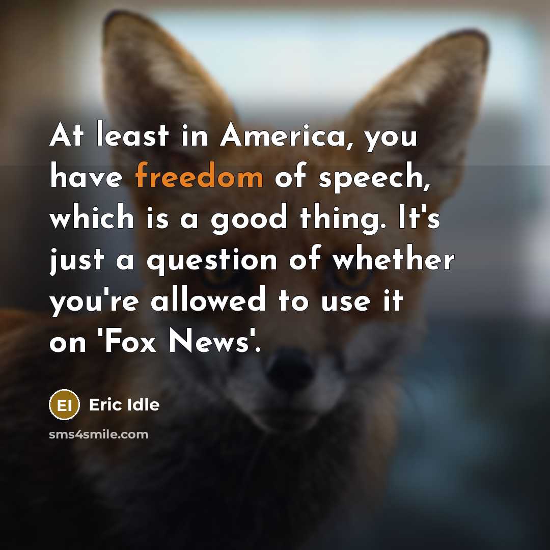 “At least in America, you have freedom of speech, which…” quote by Eric Idle