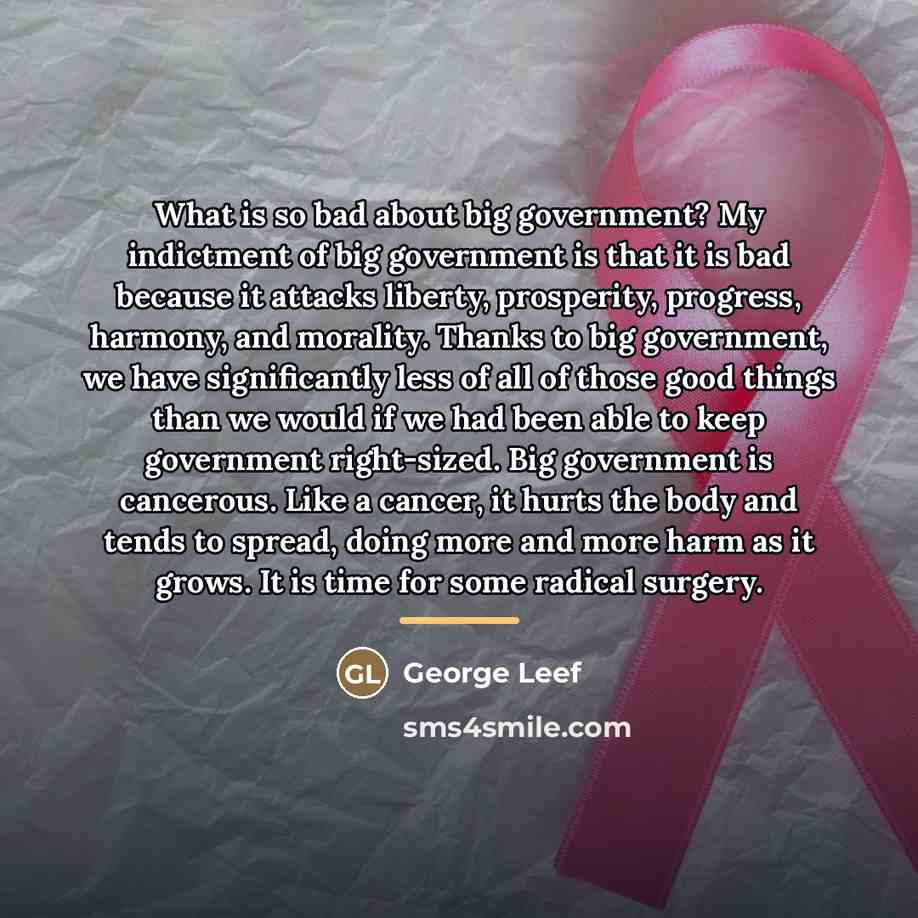 “What is so bad about big government? My indictment of…” quote by George Leef