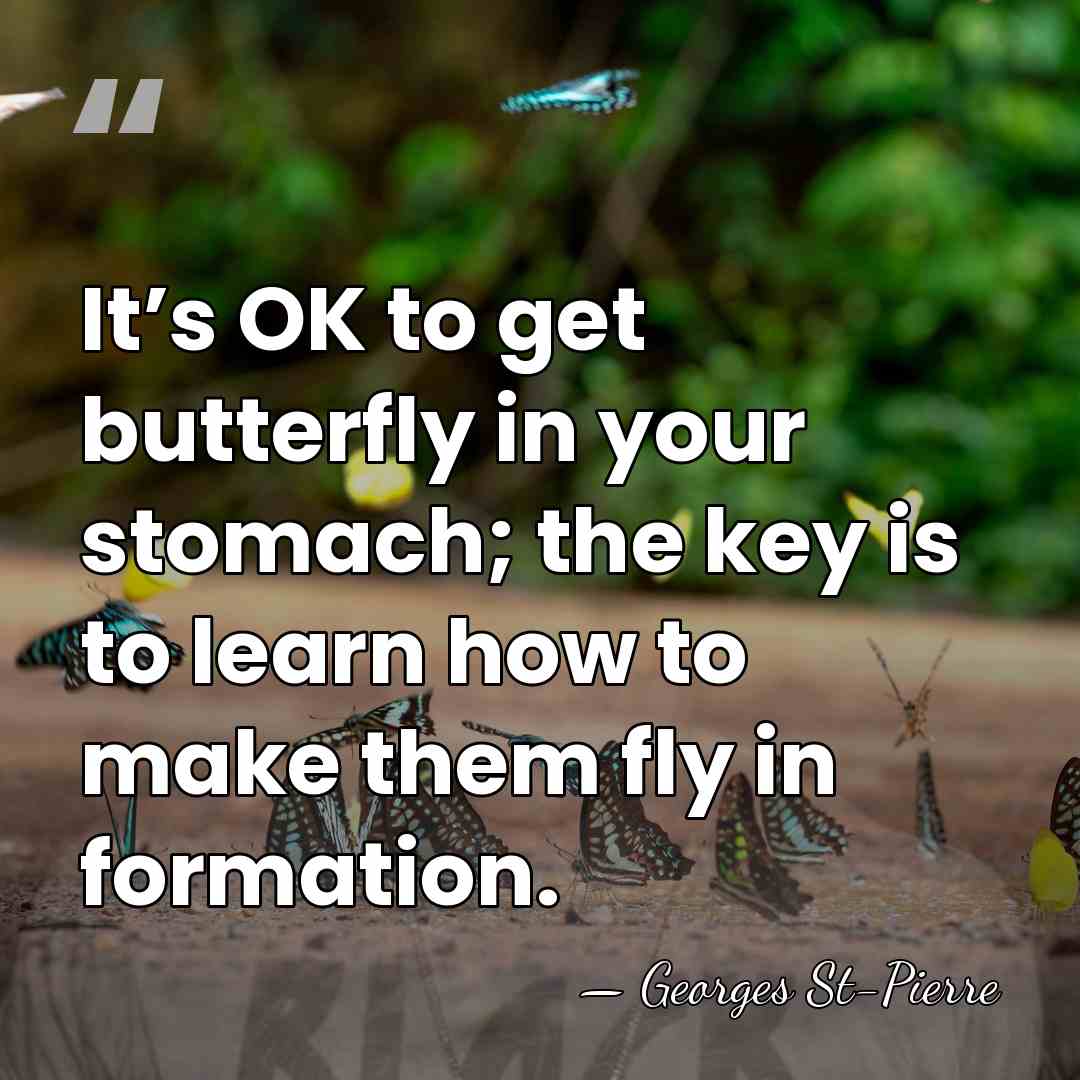 It’s OK to get butterfly in your stomach; the key is to&hellip; - Georges St-Pierre