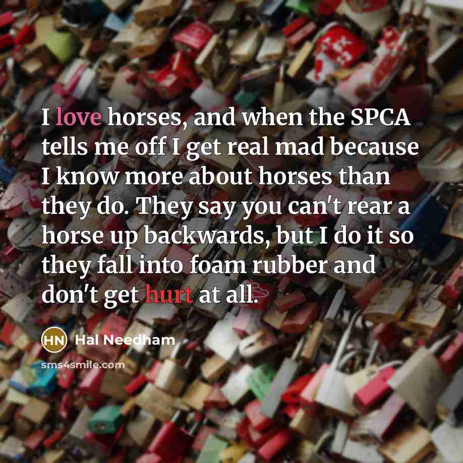 “I love horses, and when the SPCA tells me off…” quote by Hal Needham