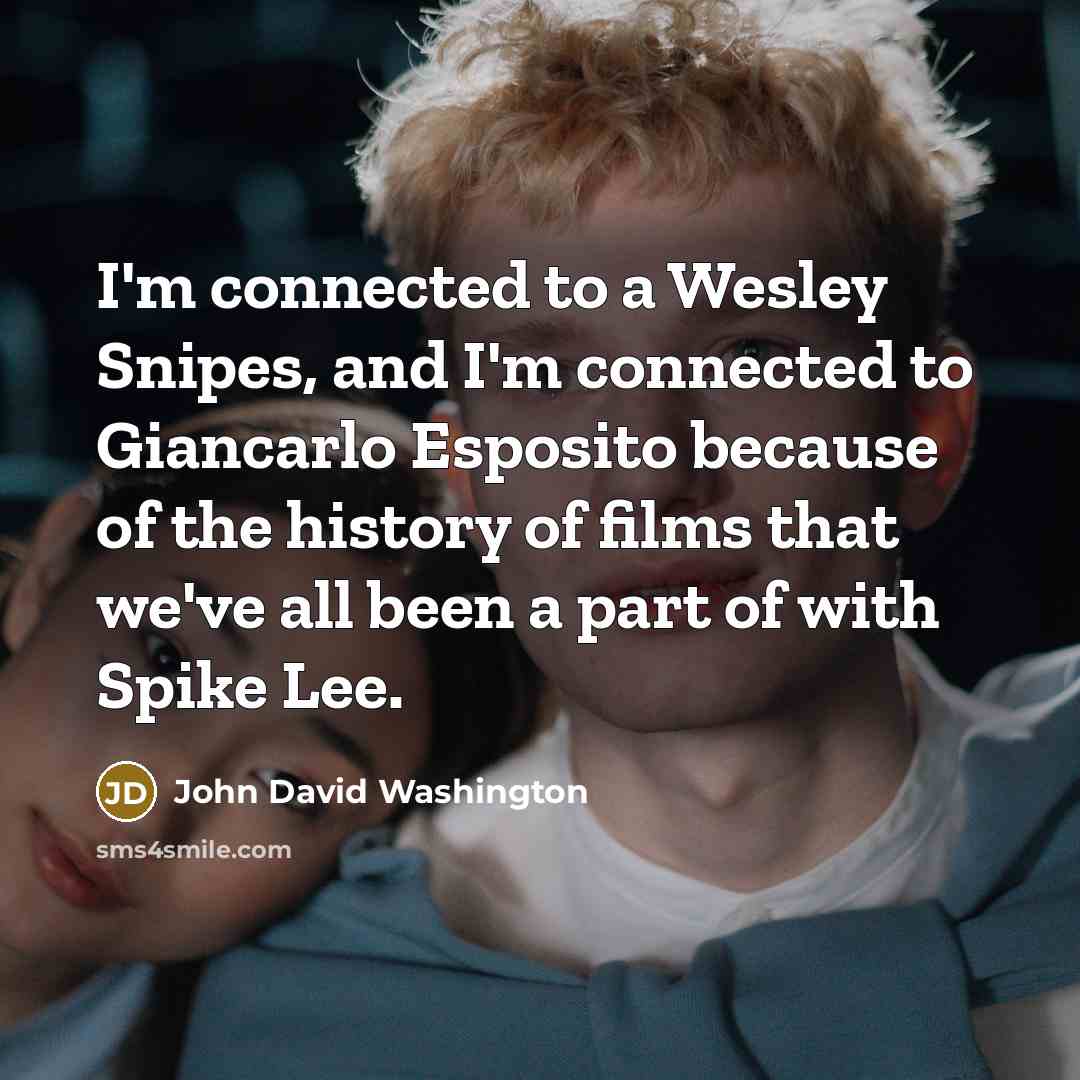 “I'm connected to a Wesley Snipes, and I'm connected to…” quote by John David Washington