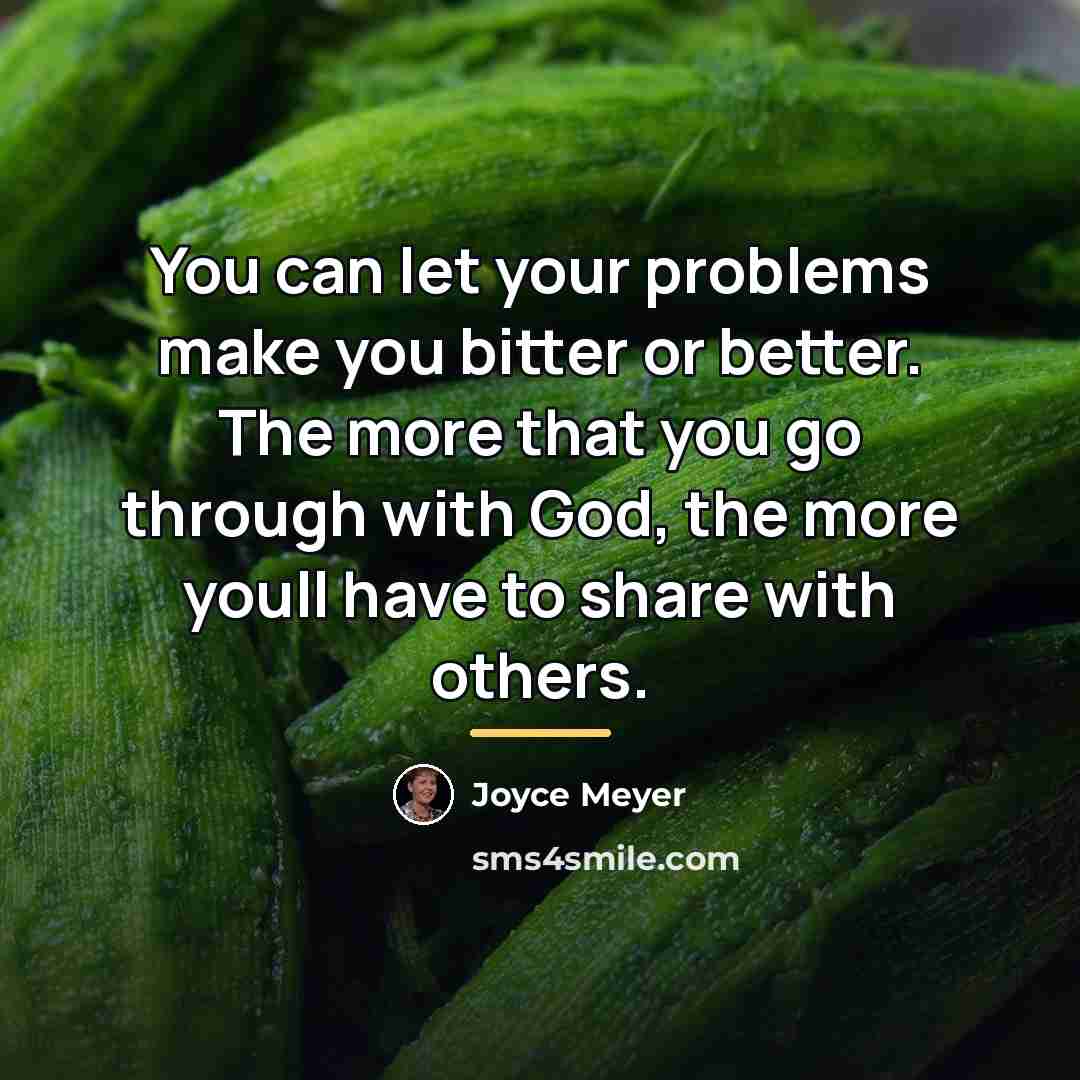 “You can let your problems make you bitter or better.…” quote by Joyce Meyer