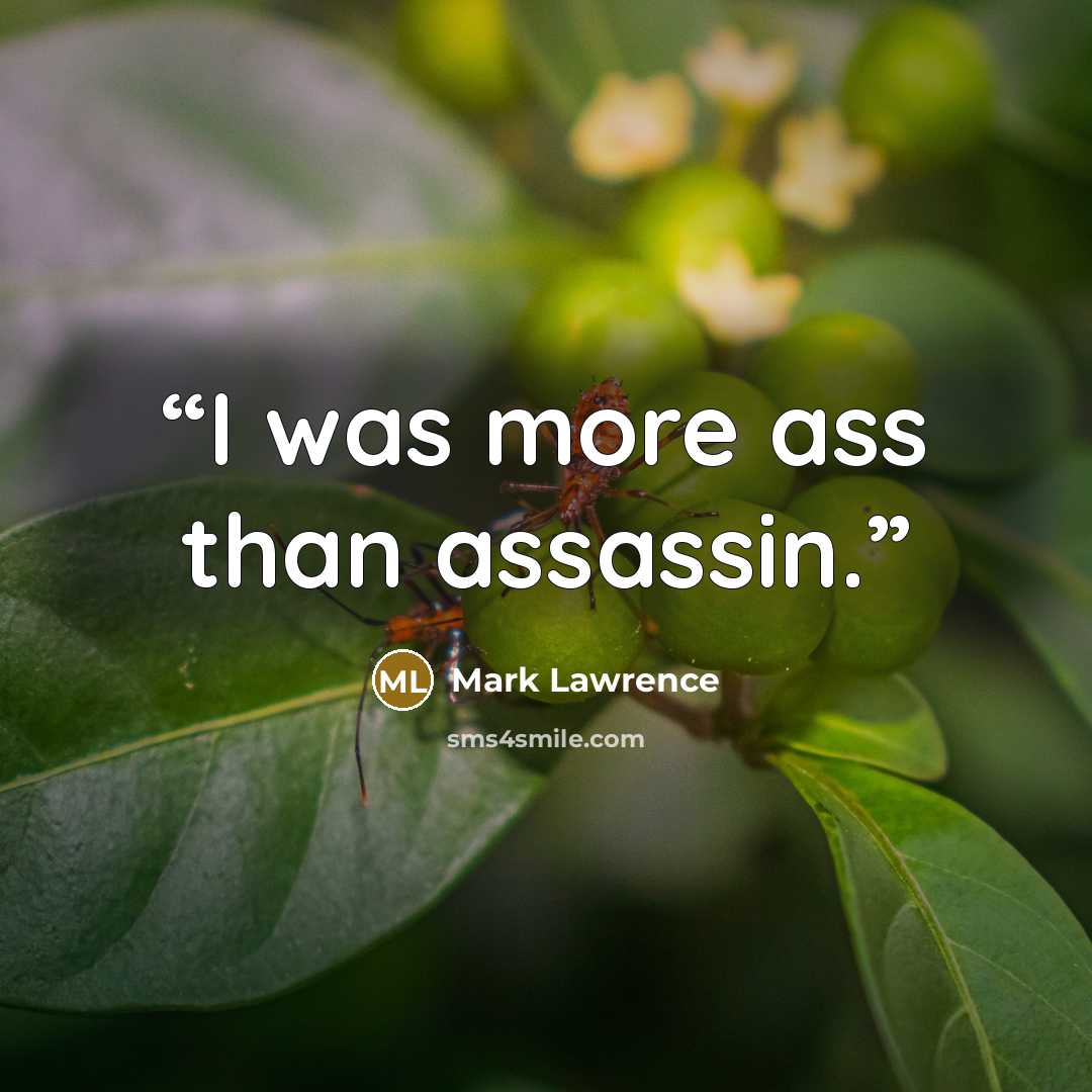 “I was more ass than assassin.” quote by Mark Lawrence
