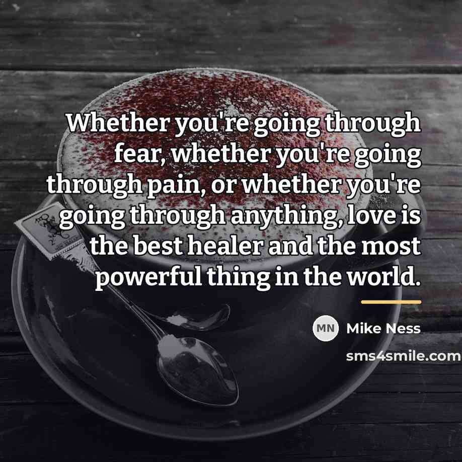 “Whether you're going through fear, whether you're going through pain,…” quote by Mike Ness
