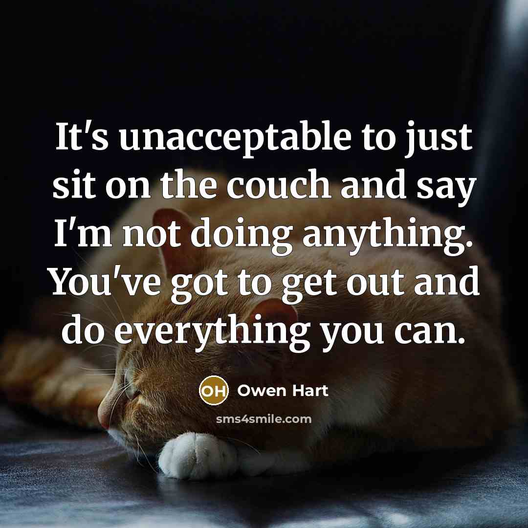 “It's unacceptable to just sit on the couch and say…” quote by Owen Hart