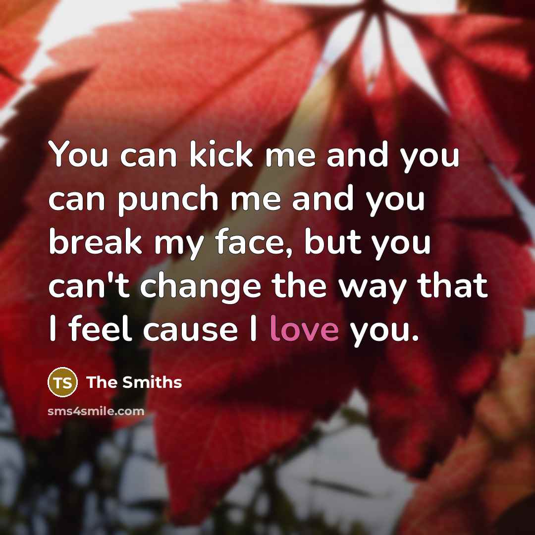 “You can kick me and you can punch me and…” quote by The Smiths