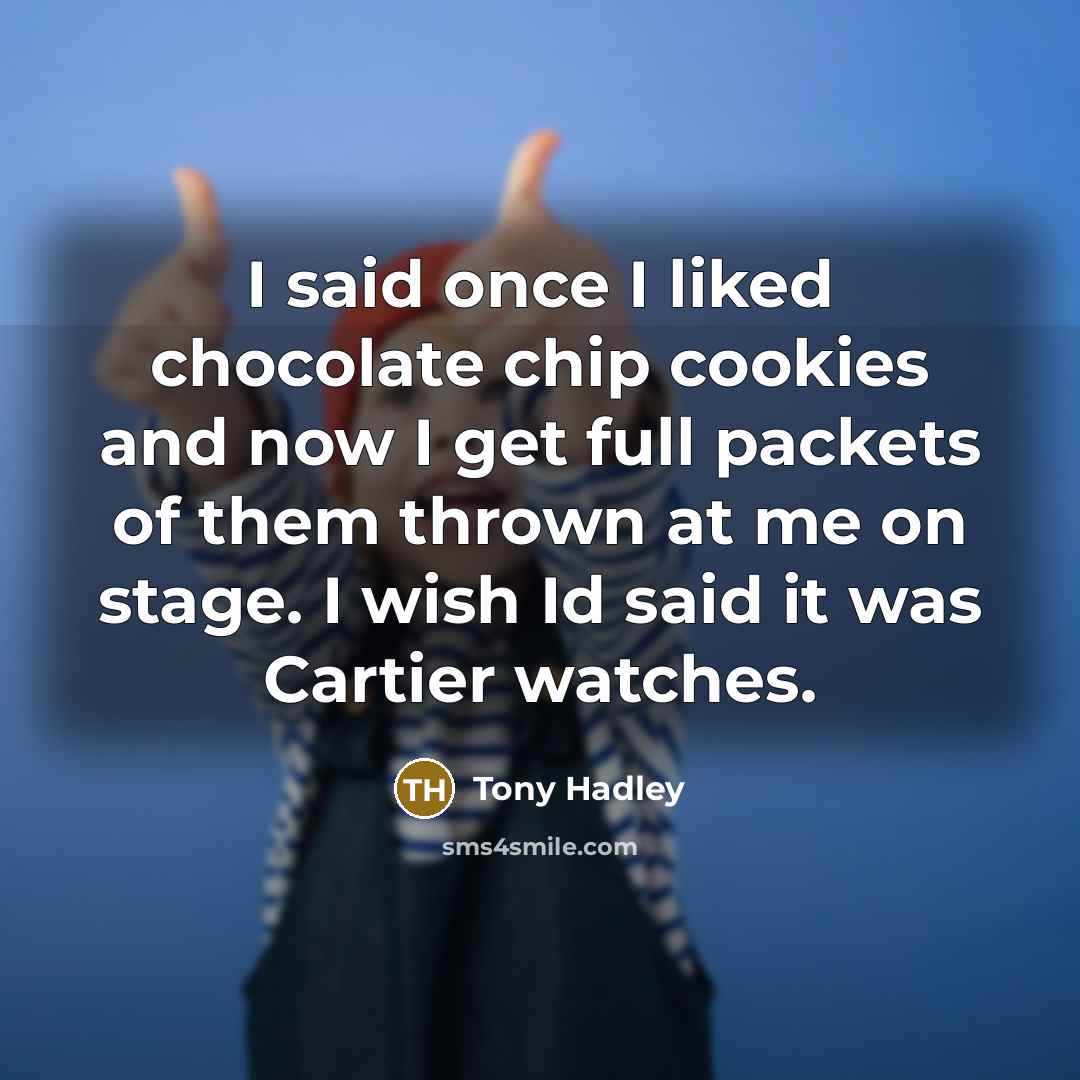 “I said once I liked chocolate chip cookies and now…” quote by Tony Hadley