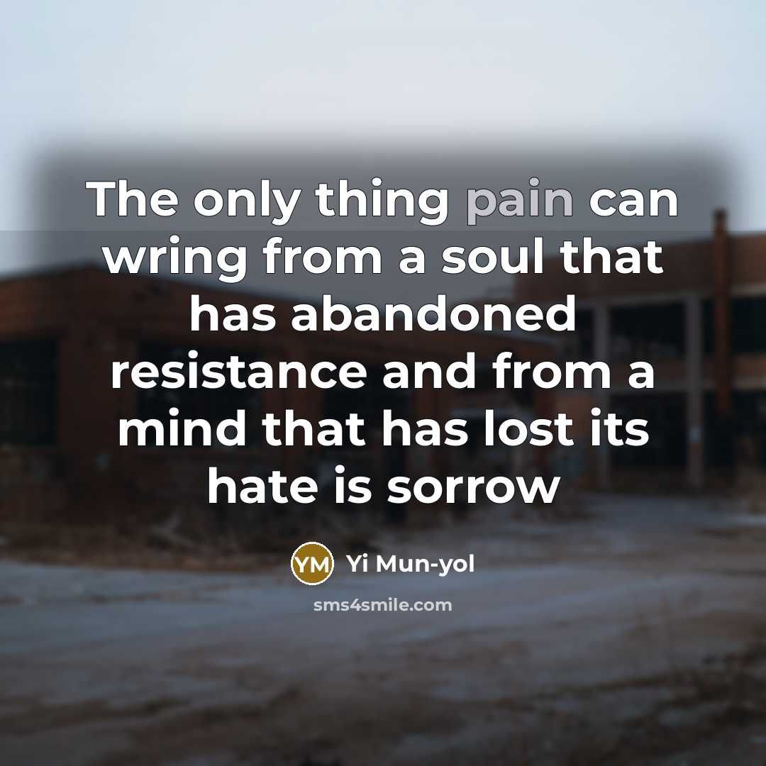 “The only thing pain can wring from a soul that…” quote by Yi Mun-yol