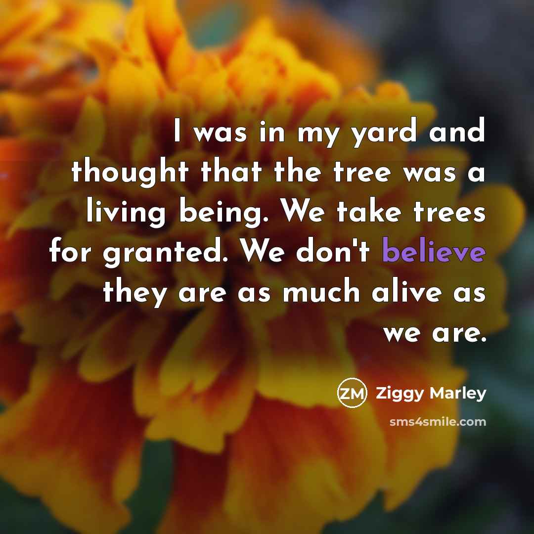 “I was in my yard and thought that the tree…” quote by Ziggy Marley