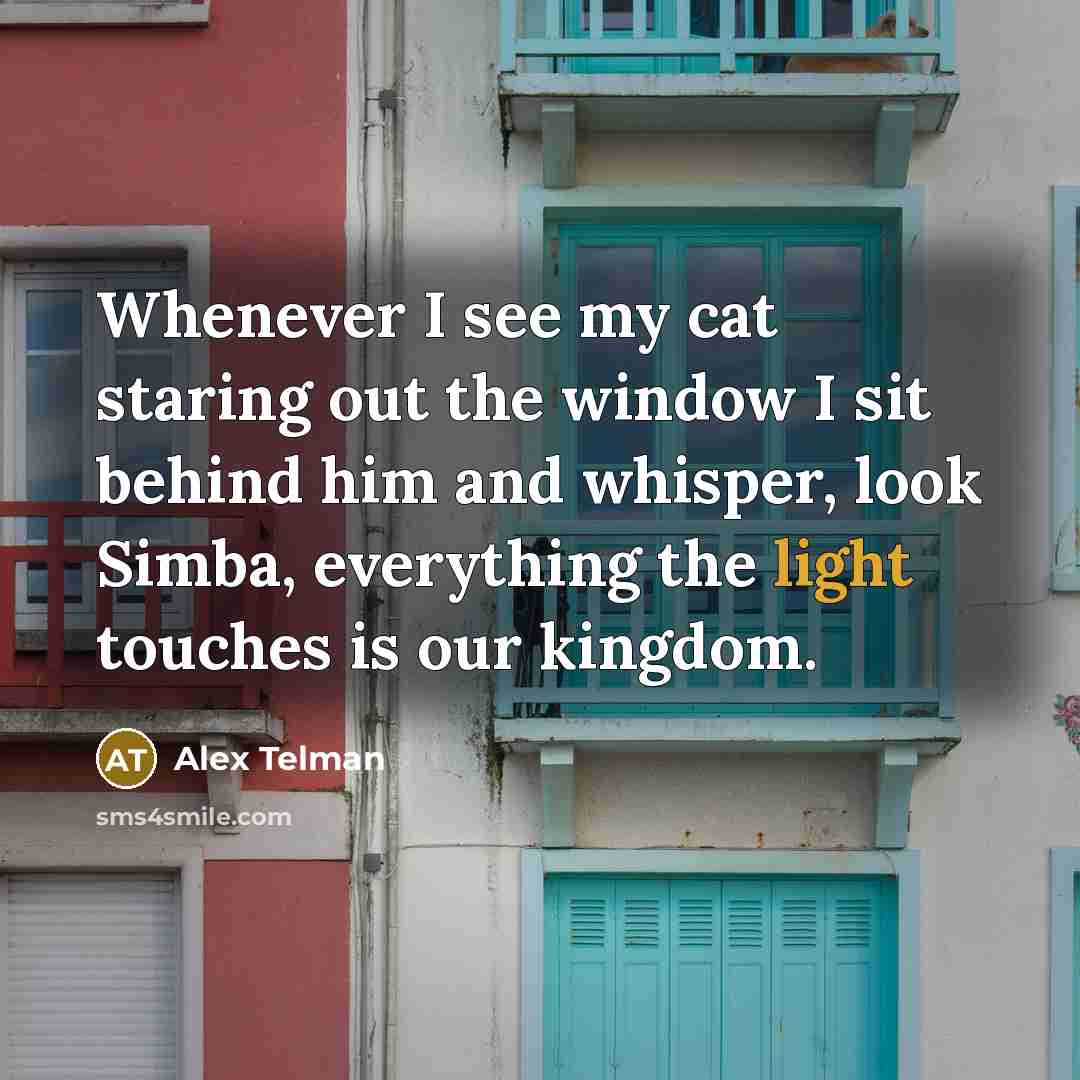 “Whenever I see my cat staring out the window I…” quote by Alex Telman