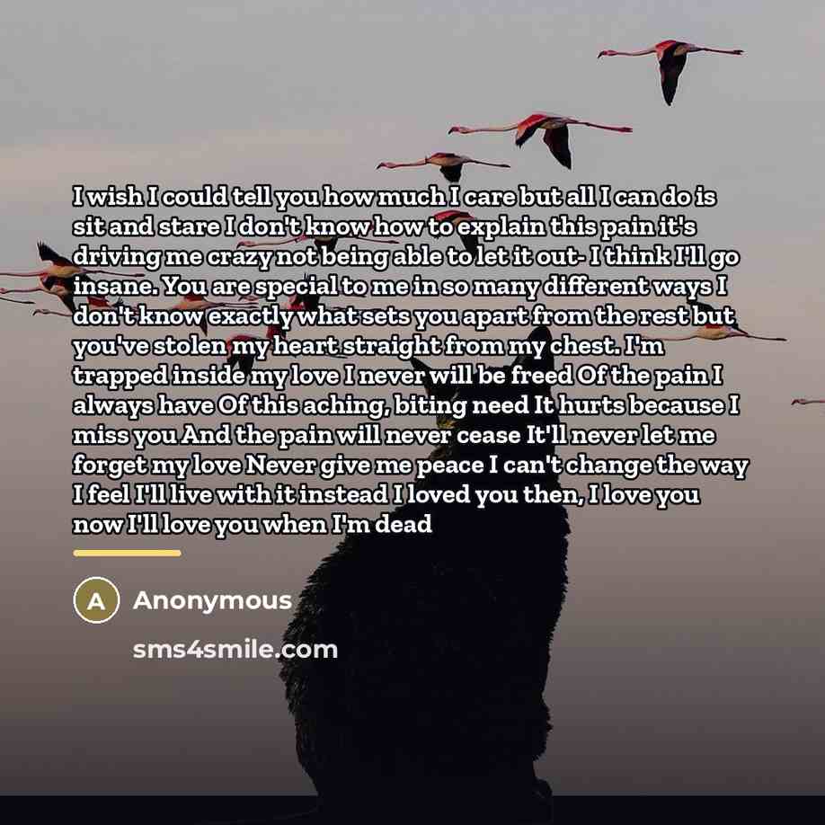 “I wish I could tell you how much I care…” quote by Anonymous