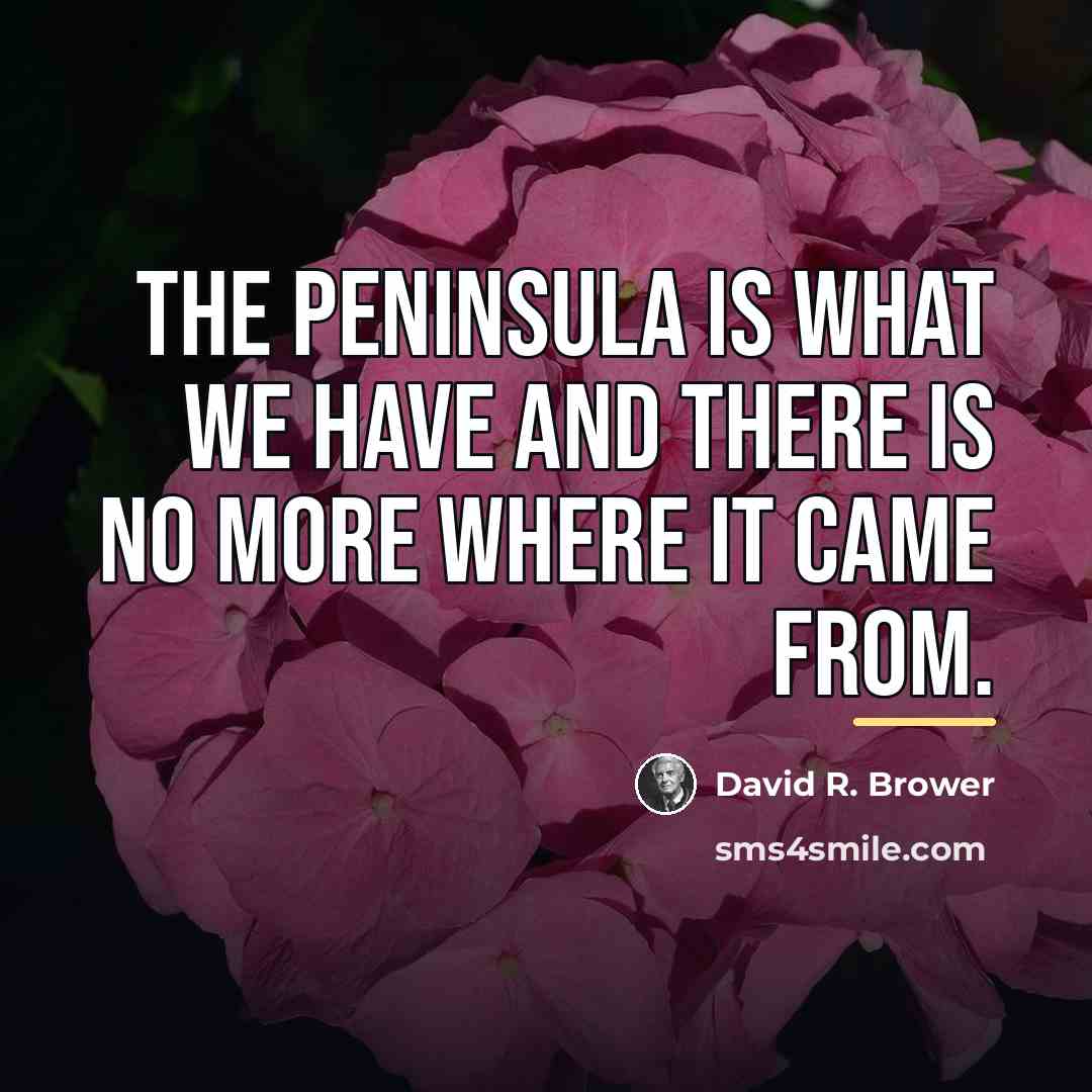 “The Peninsula is what we have and there is no…” quote by David R. Brower