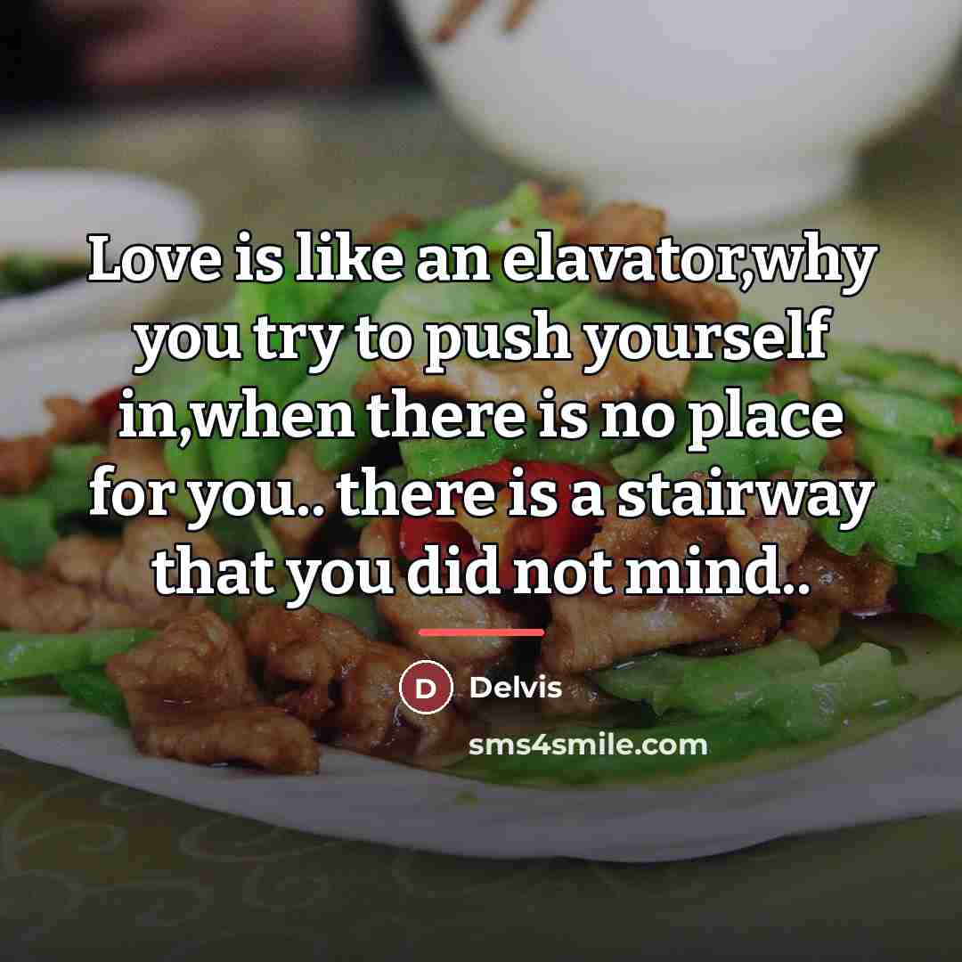 “Love is like an elavator,why you try to push yourself…” quote by Delvis