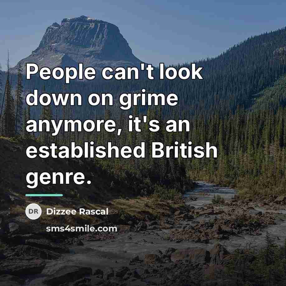 “People can't look down on grime anymore, it's an established…” quote by Dizzee Rascal