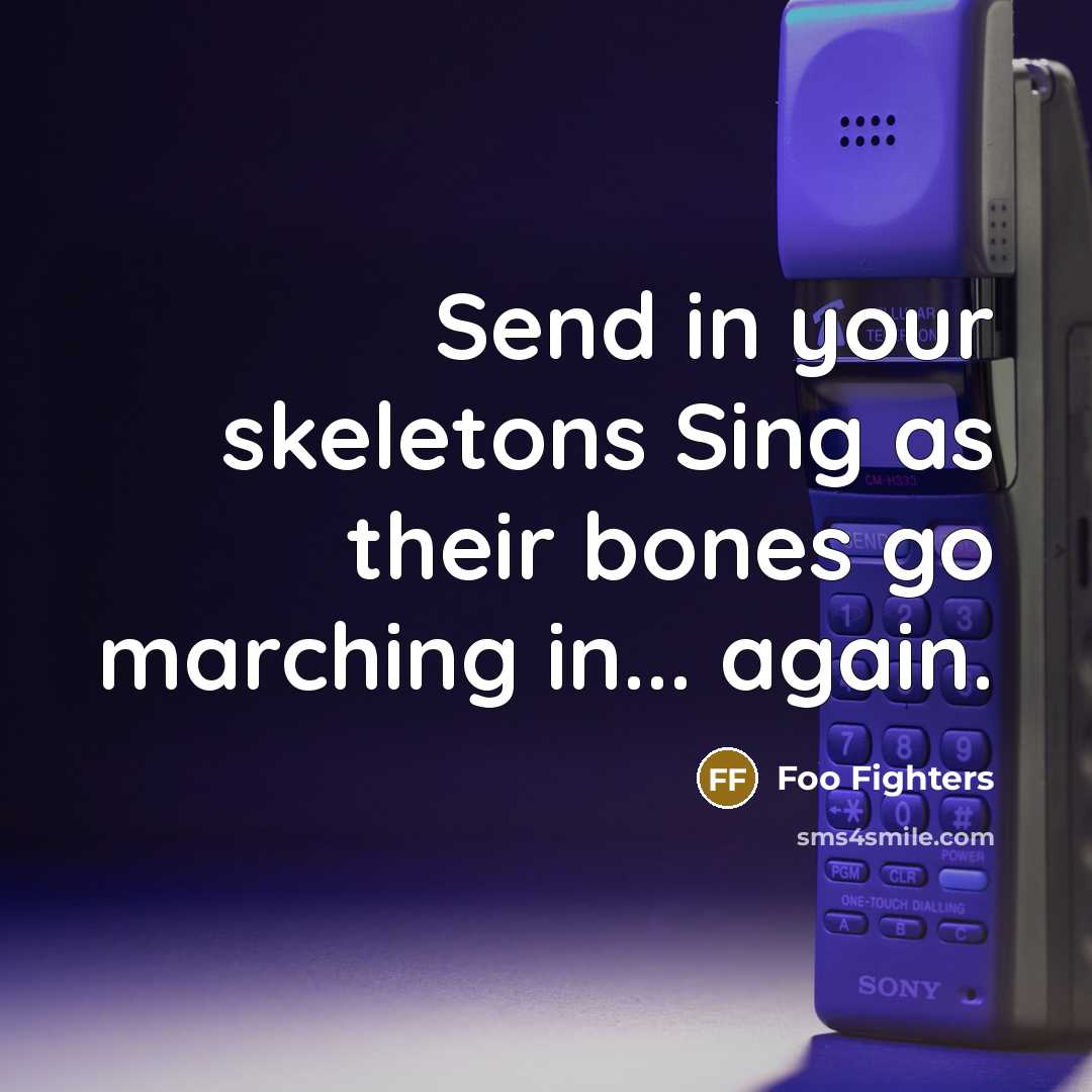 “Send in your skeletons Sing as their bones go marching…” quote by Foo Fighters