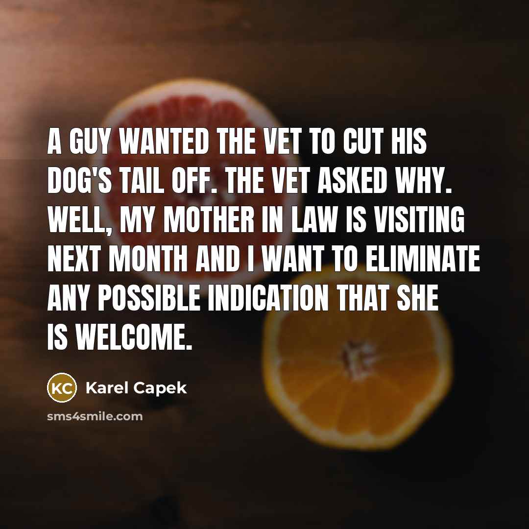 “A guy wanted the vet to cut his dog's tail…” quote by Karel Capek