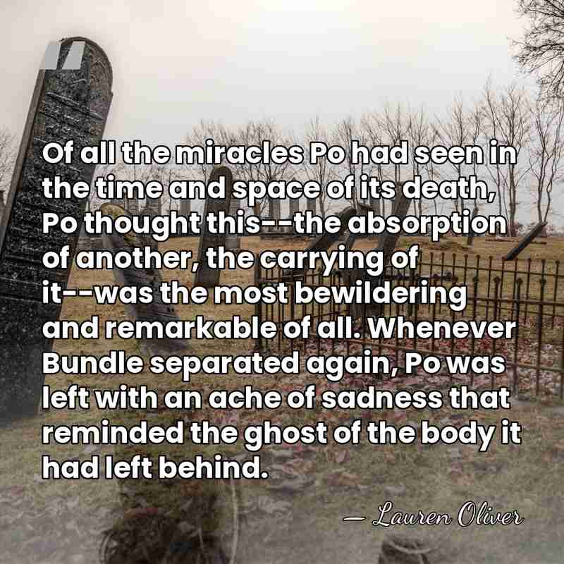Of all the miracles Po had seen in the time and space&hellip; - Lauren Oliver