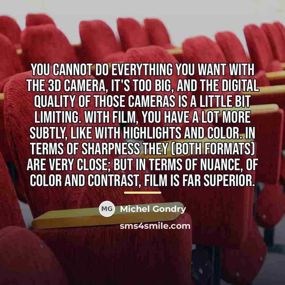 “You cannot do everything you want with the 3D camera,…” quote by Michel Gondry