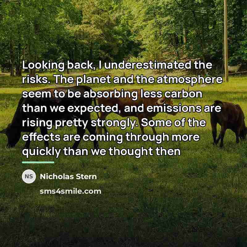 “Looking back, I underestimated the risks. The planet and the…” quote by Nicholas Stern