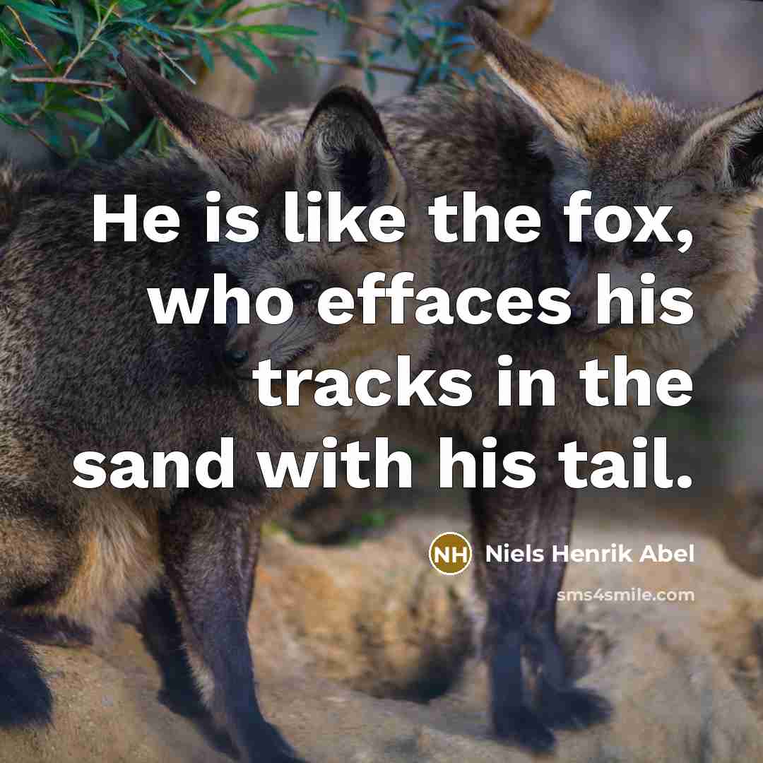 “He is like the fox, who effaces his tracks in…” quote by Niels Henrik Abel