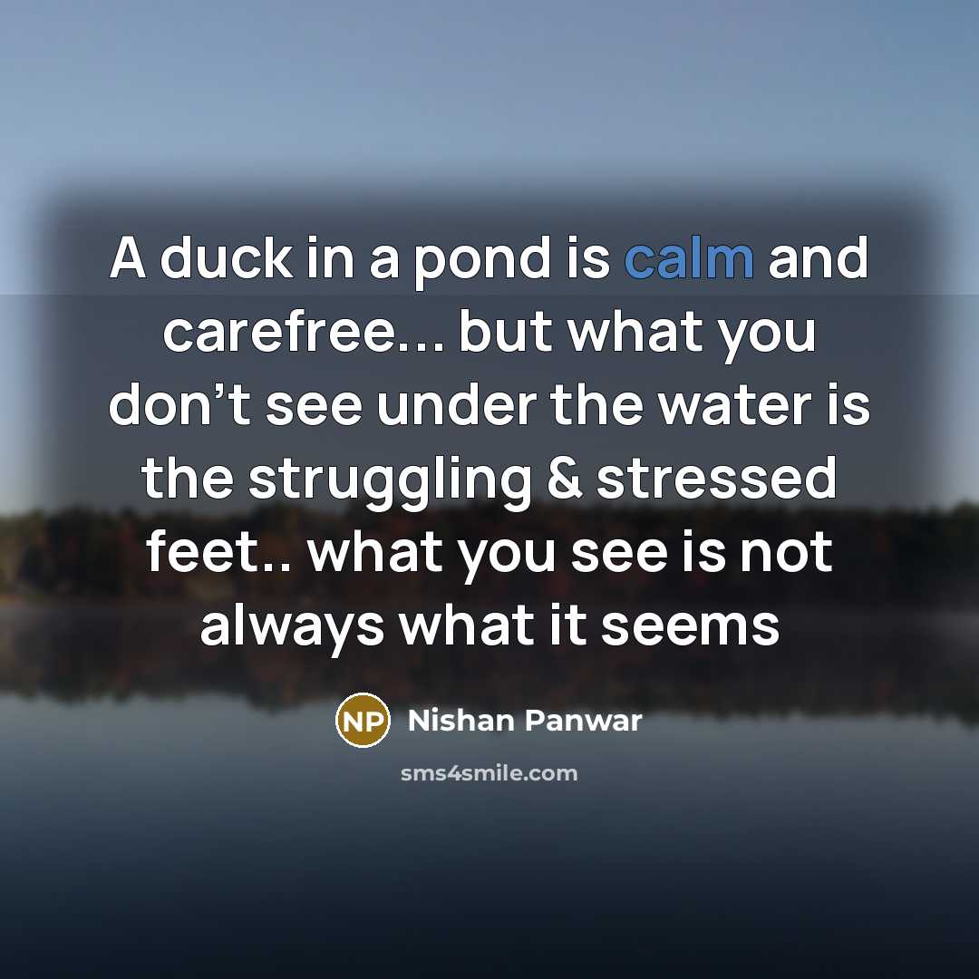 “A duck in a pond is calm and carefree... but…” quote by Nishan Panwar