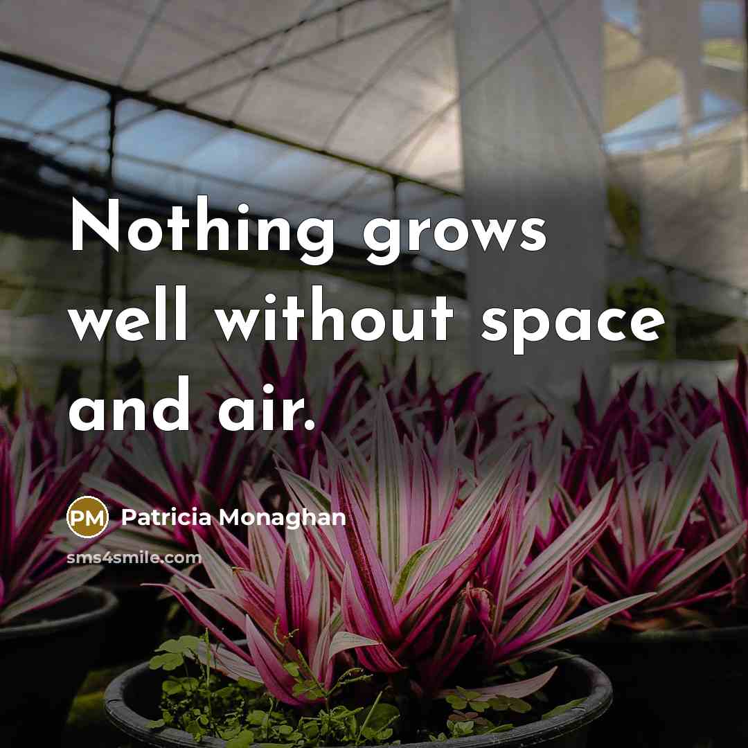 “Nothing grows well without space and air.…” quote by Patricia Monaghan