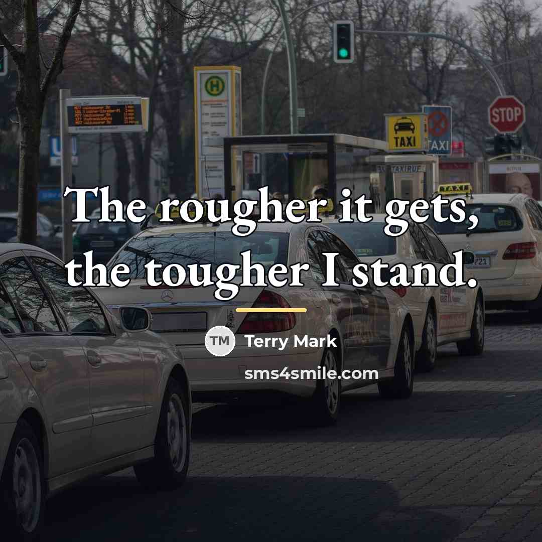 “The rougher it gets, the tougher I stand.…” quote by Terry Mark