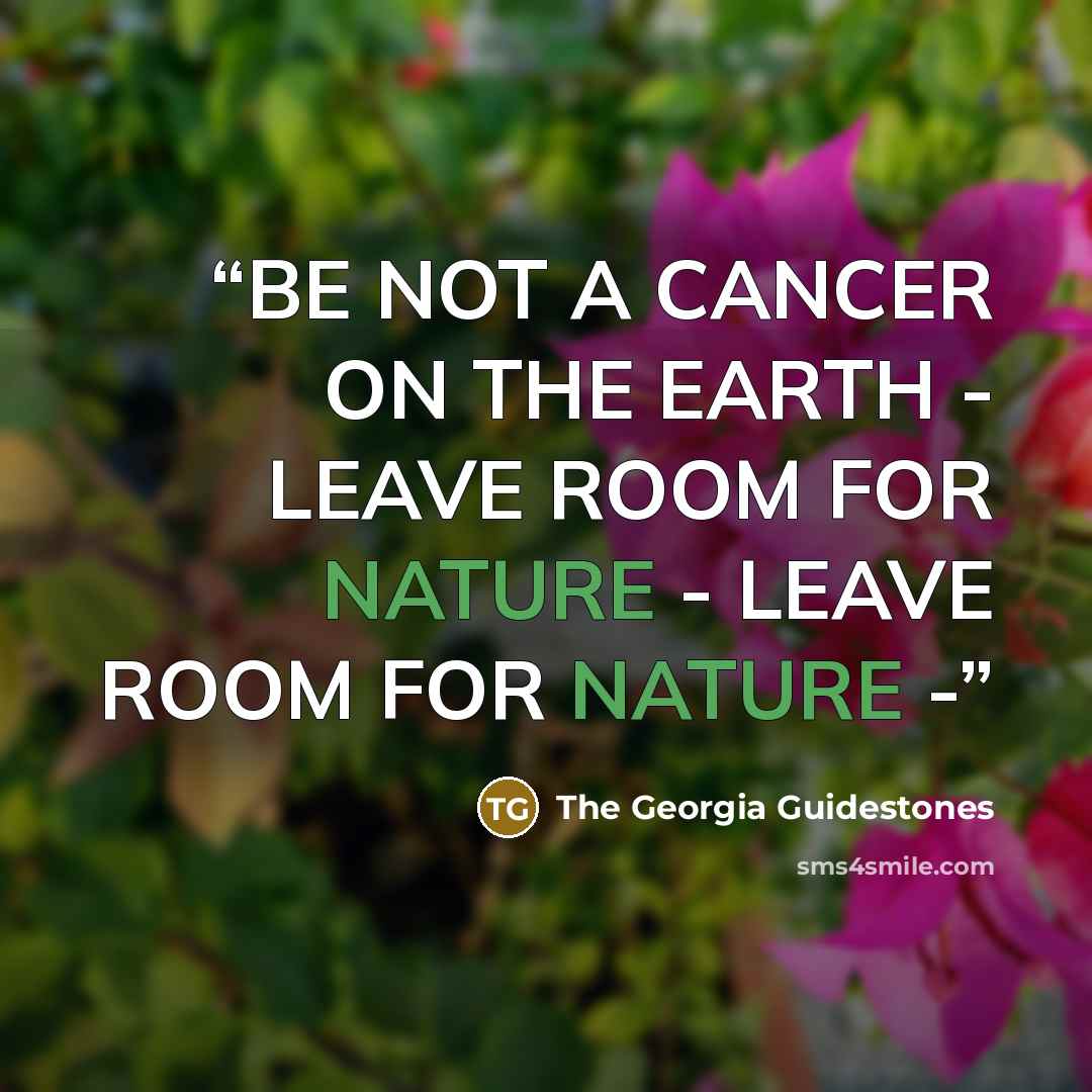 “BE NOT A CANCER ON THE EARTH - LEAVE ROOM FOR NATURE - LEAVE ROOM FOR NATURE -” quote by The Georgia Guidestones