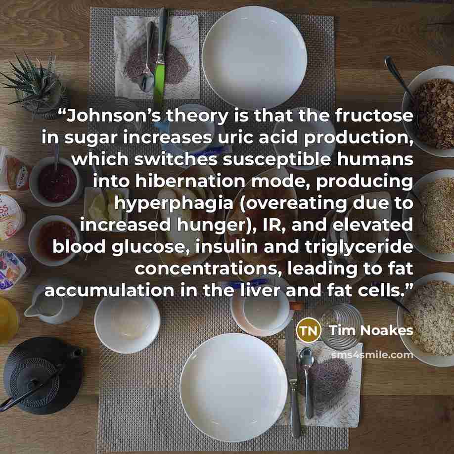 “Johnson’s theory is that the fructose in sugar increases uric acid production, which switches susceptible humans into hibernation mode, producing hyperphagia (overeating due to increased hunger), IR, and elevated blood glucose, insulin and triglyceride concentrations, leading to fat accumulation…” quote by Tim Noakes