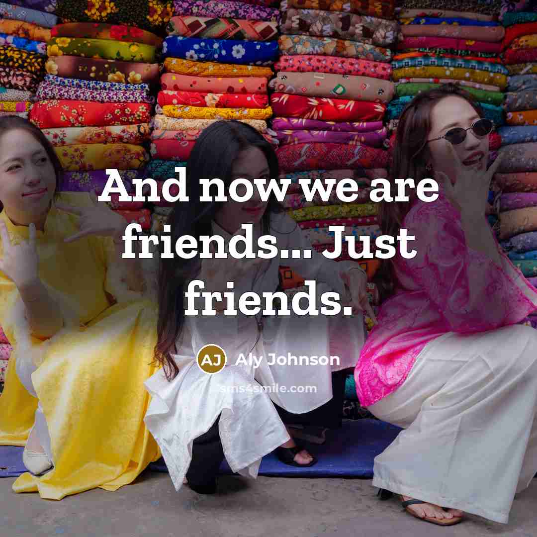 “And now we are friends... Just friends.…” quote by Aly Johnson