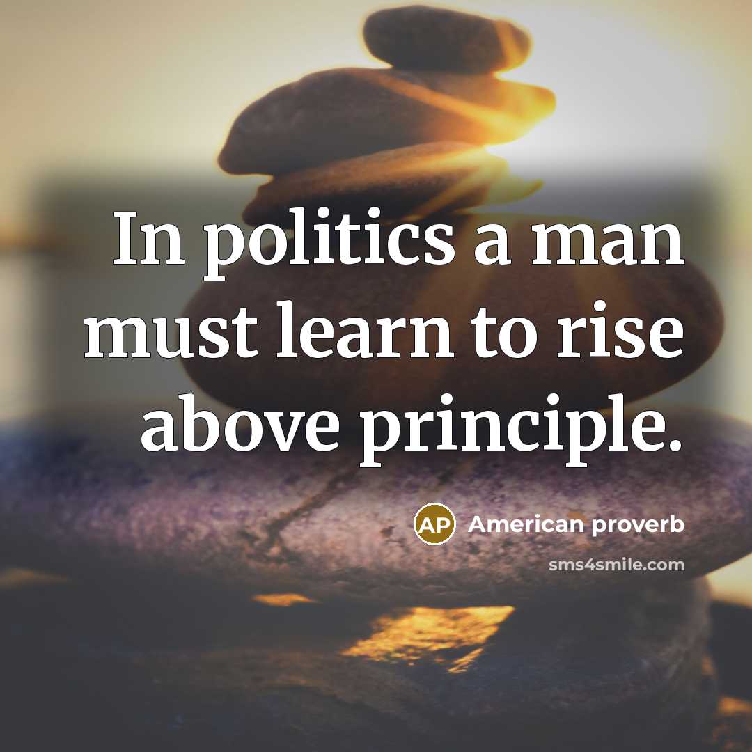 “In politics a man must learn to rise above principle.…” quote by American Proverb