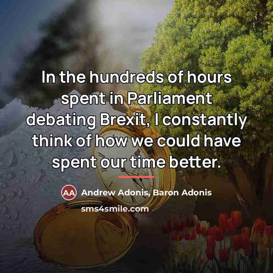 “In the hundreds of hours spent in Parliament debating Brexit,…” quote by Andrew Adonis, Baron Adonis
